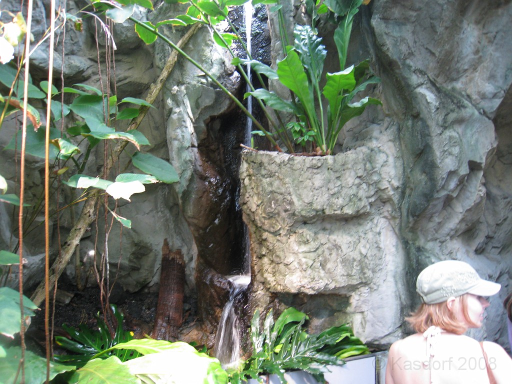 Baltimore MD 2009 1790.jpg - A 4th of July trip to Washington DC in 2009 included a stop in Baltimore MD to see the National Aquarium.